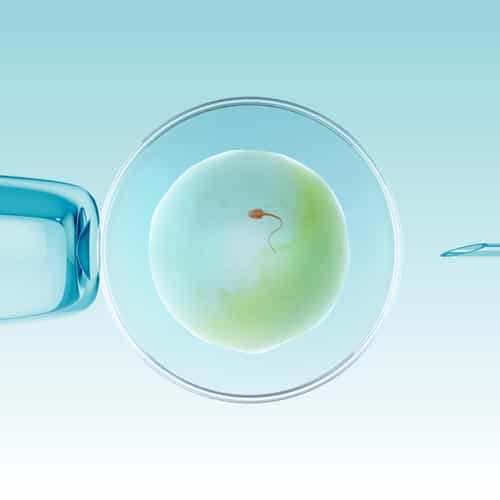 تجميد البويضات: دليل شامل للحفاظ على الخصوبة